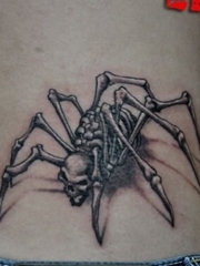 腰部一张骷髅蜘蛛纹身图案