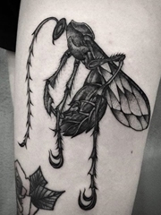 黑色水墨风格纹身动物有趣的昆虫纹身图案