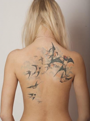 女生后背唯美的燕子纹身