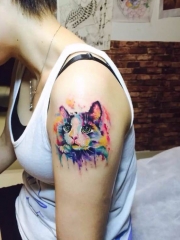 女生手臂可爱的彩绘小猫纹身