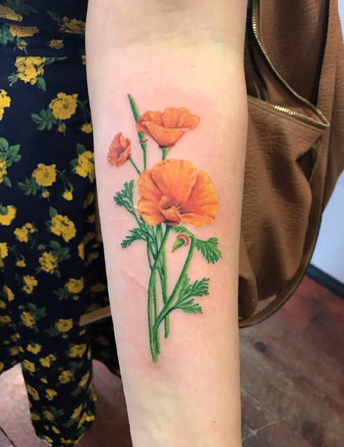 点击大图看下一张：美女手臂上小清新植物纹身加州罂粟花纹身图片