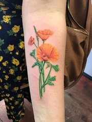 美女手臂上小清新植物纹身加州罂粟花纹身图片