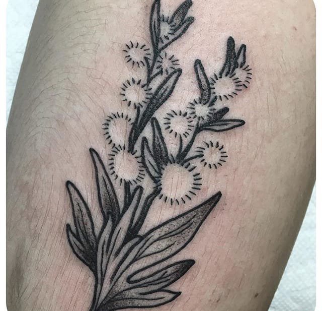 点击大图看下一张：彩色小清新植物纹身小花朵纹身图案