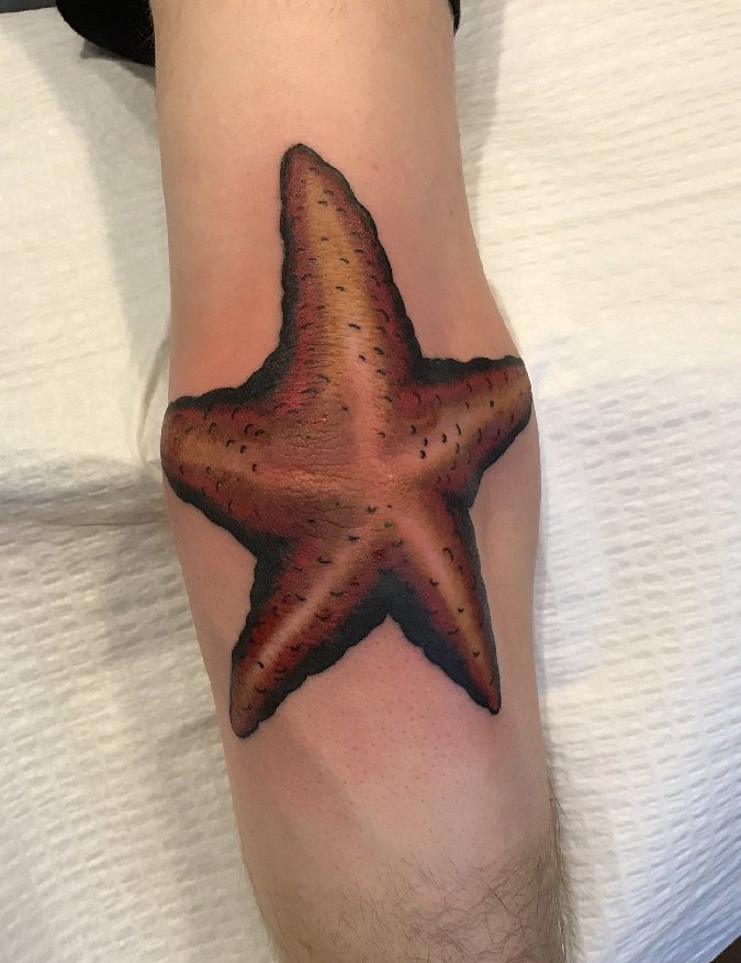 点击大图看下一张：手臂肘部上的大海星纹身