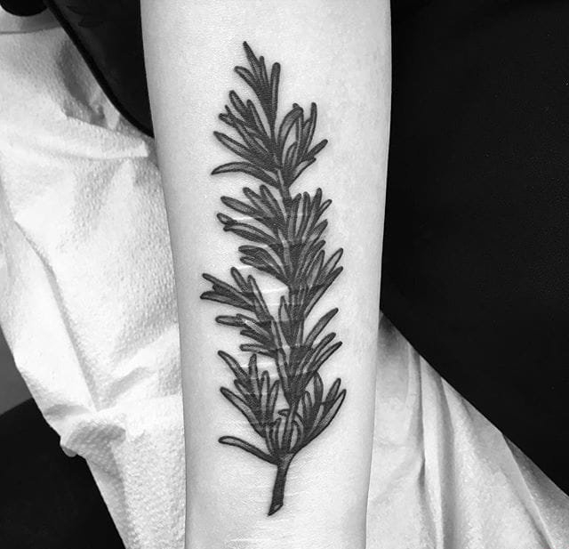 点击大图看下一张：小清新植物纹身迷迭香纹身图案大全