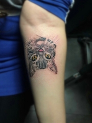 手臂一只可爱的小猫头像纹身图案