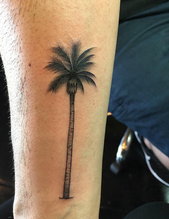 点击大图看下一张：男性手臂上彩色的小清新植物纹身棕榈树纹身图片