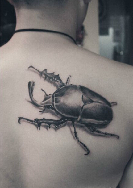 点击大图看下一张：男性背部经典流行的独角仙昆虫纹身