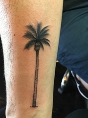 男性手臂上彩色的小清新植物纹身棕榈树纹身图片