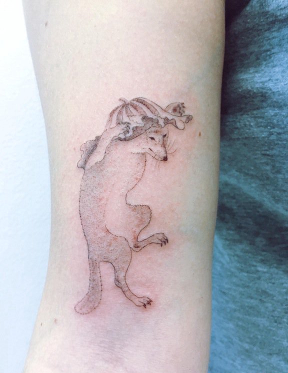 点击大图看下一张：手臂上的一只用莲叶盖头上的狐狸图片纹身