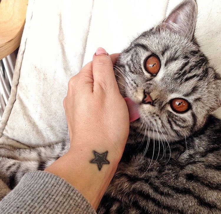 点击大图看下一张:女神纹身小清新创意情侣纹身闺蜜纹身五角星图案