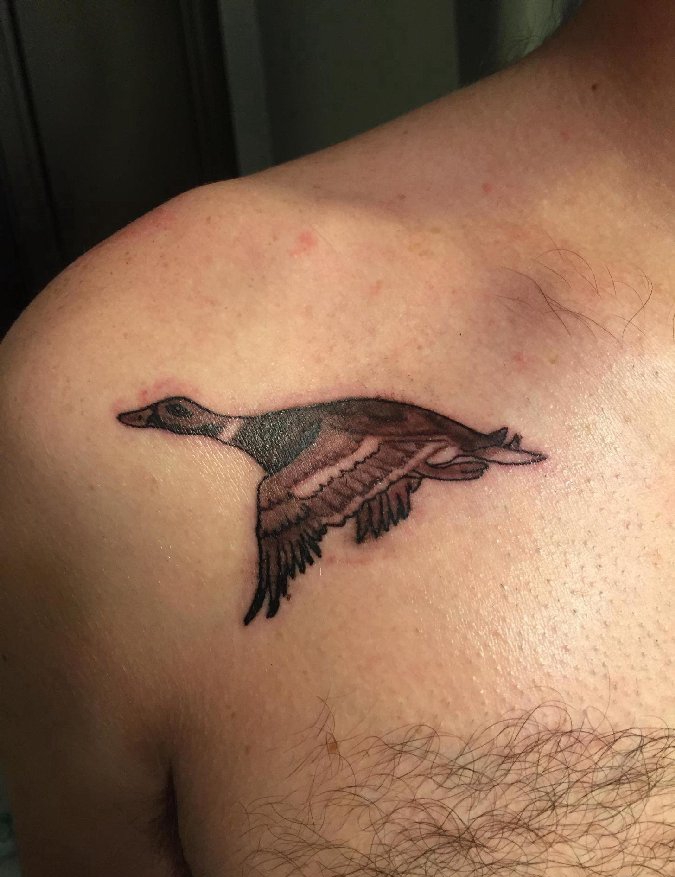 点击大图看下一张：男性肩膀上黑灰色鸭子纹身动物图片