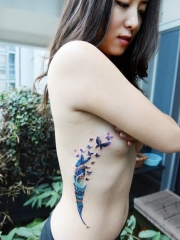 女生侧肋精致唯美的蝴蝶羽毛纹身图案