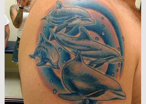 点击大图看下一张：多款可爱的蓝色的现实主义风格纹身海豚纹身动物图案