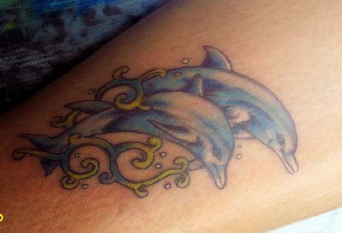 点击大图看下一张：多款可爱的蓝色的现实主义风格纹身海豚纹身动物图案