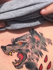 男子胸部上一只凶狠张开大嘴的狼纹身图片