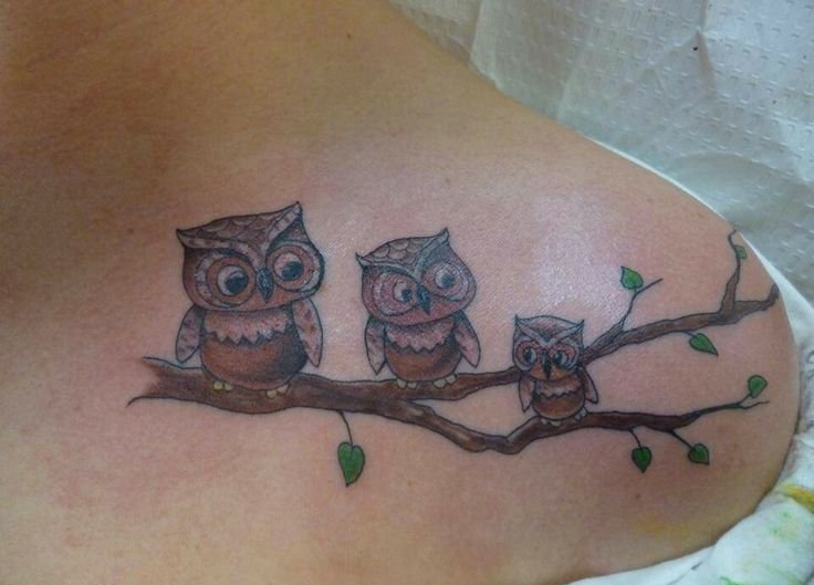 点击大图看下一张：有帅气或很萌很可爱的猫头鹰纹身图案欣赏