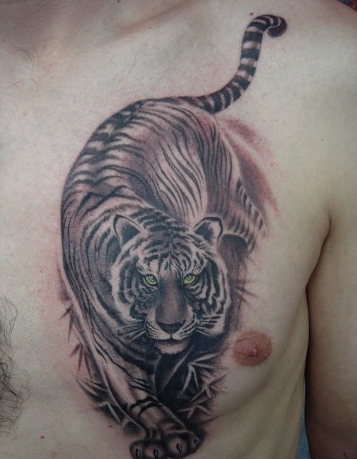点击大图看下一张：男性们都喜欢这样帅气的凶猛的老虎纹身图案