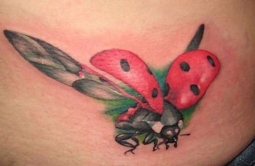 点击大图看下一张:女孩就喜欢这样清新可爱的小瓢虫纹身图案