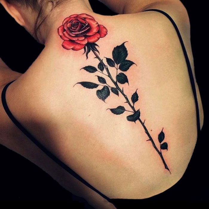 点击大图看下一张：女子后背娇艳欲滴玫瑰花纹身图案