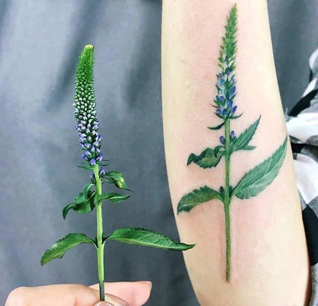 点击大图看下一张：女生喜欢的小清新植物纹身图案