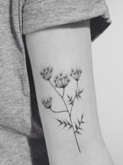 女生喜爱的黑色小清新植物纹身