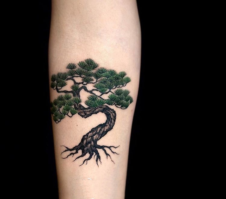点击大图看下一张：手臂郁郁青葱松树彩绘纹身图案