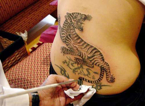 点击大图看下一张：美国影星安吉莉娜背后老虎纹身图案