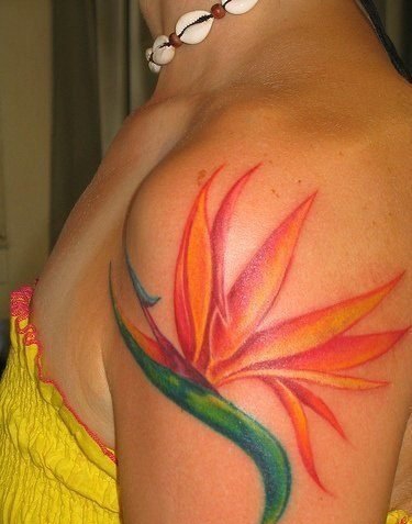 点击大图看下一张：女生小清新纹身彩色天堂鸟花纹身植物纹身图案