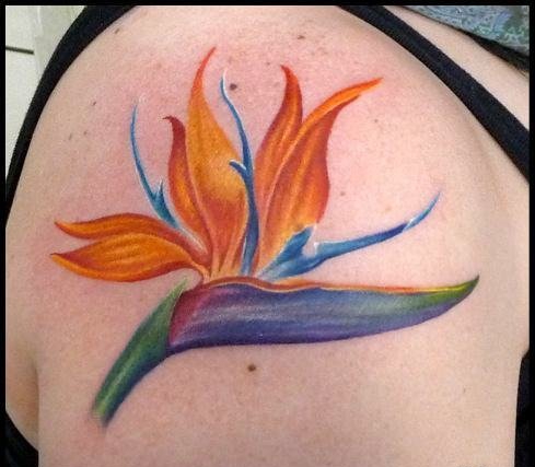 点击大图看下一张：女生小清新纹身彩色天堂鸟花纹身植物纹身图案