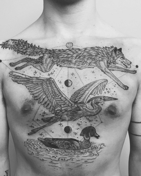 点击大图看下一张：男生胸部简约线条纹身狼纹身仙鹤纹身和鸭子纹身图片