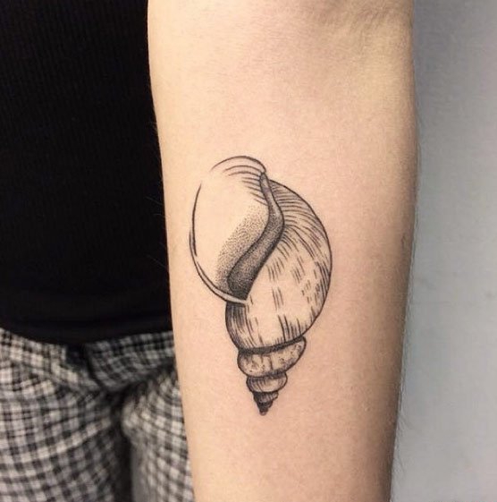 点击大图看下一张：手臂上黑色海螺纹身素描技巧点刺纹身几何纹身图案