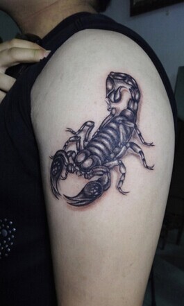 点击大图看下一张：手臂上逼真的3D蝎子纹身图案