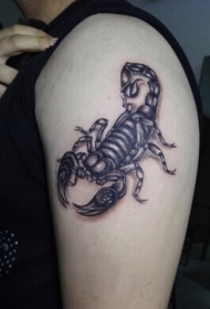 手臂上逼真的3D蝎子纹身图案
