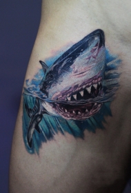 手臂个性鲨鱼彩绘纹身图案