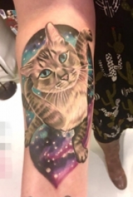 女性手臂上漂亮的彩色写实宠物猫纹身图片