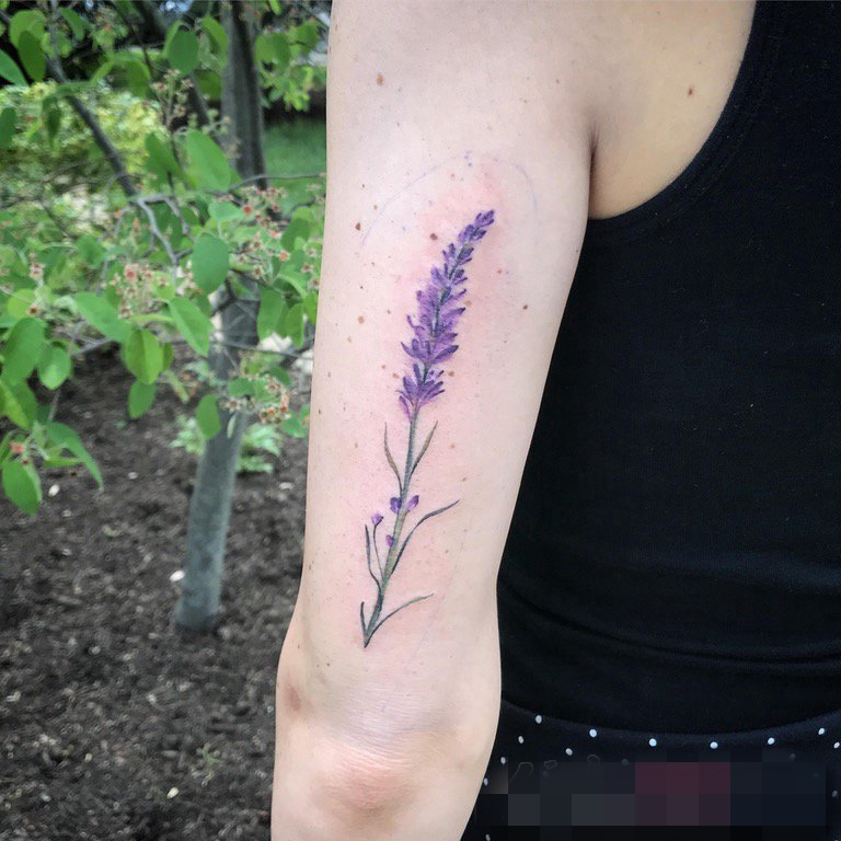 点击大图看下一张：手臂上彩绘技巧小清新植物花朵纹身图片
