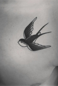 男生胸部黑白灰风格点刺技巧简单线条燕子纹身动物图片