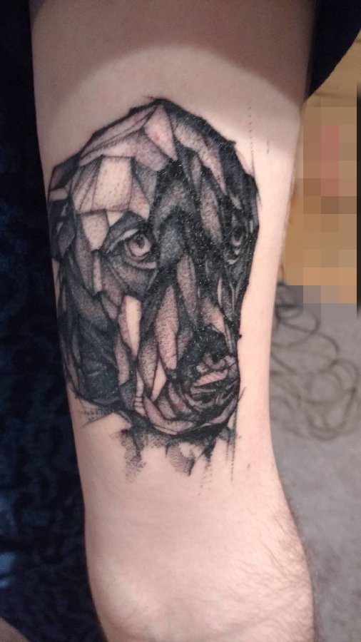 点击大图看下一张：手臂上黑白灰风格点刺技巧简易狗纹身动物图片
