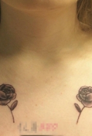 女生双肩对称黑白灰点刺植物花朵纹身图片