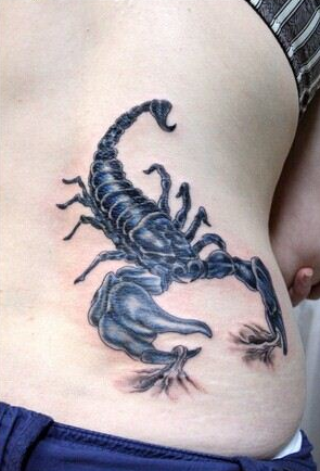 点击大图看下一张：女性后腰部蝎子纹身图案