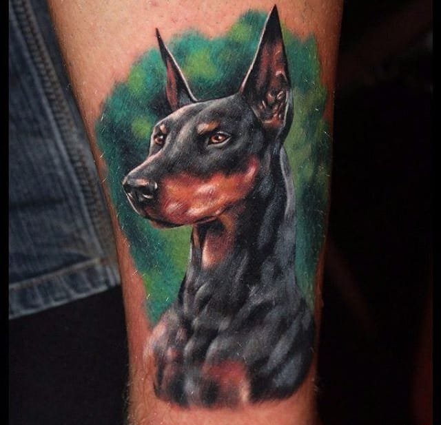 点击大图看下一张：一组生动且活泼的杜宾犬宠物狗纹身动物纹身图案大全