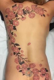 一组帅气的半甲纹身和植物纹身素材花朵纹身满臂花臂纹身图案大全