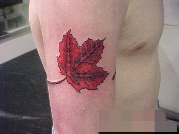 点击大图看下一张：12款和秋天有关的小叶子纹身图案