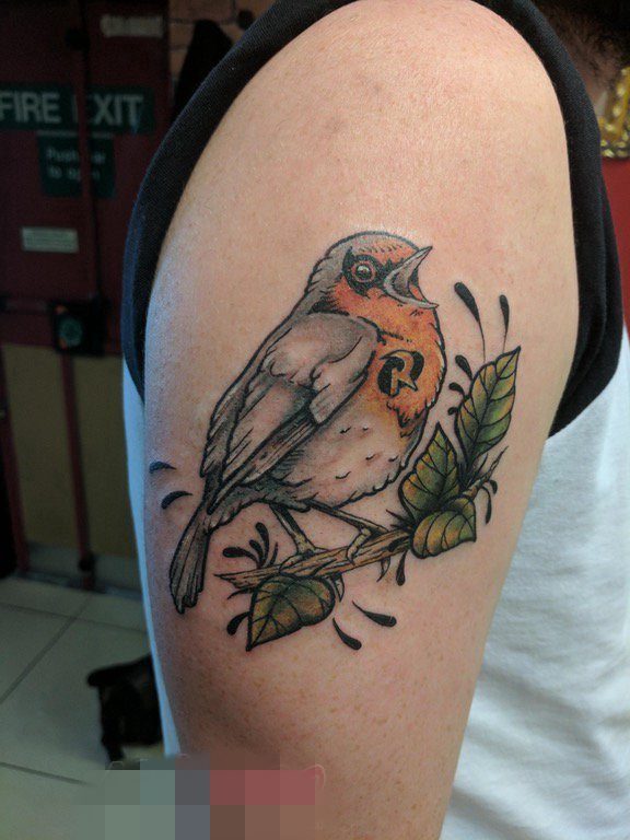 点击大图看下一张：男生手臂上彩绘技巧植物元素小动物鸟纹身图片