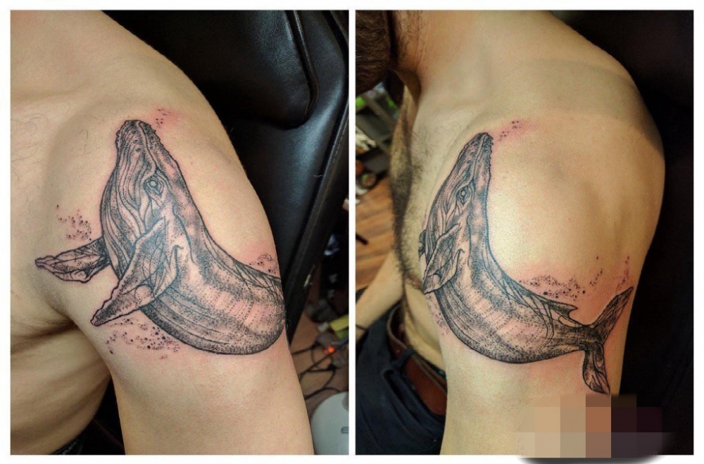 点击大图看下一张：男生手臂上点刺技巧动物鲸鱼纹身图片