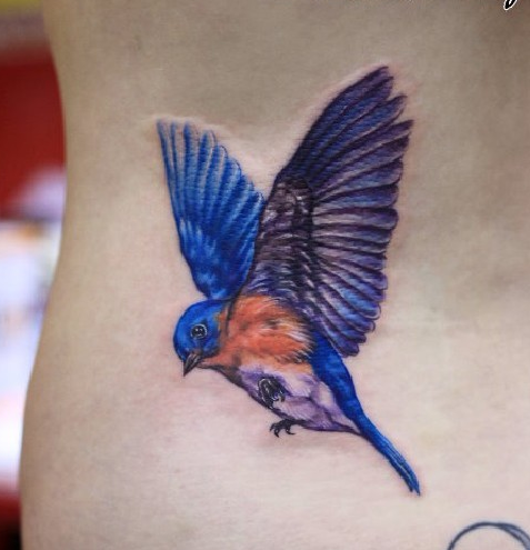 点击大图看下一张：腰部彩色小鸟展翅纹身图案