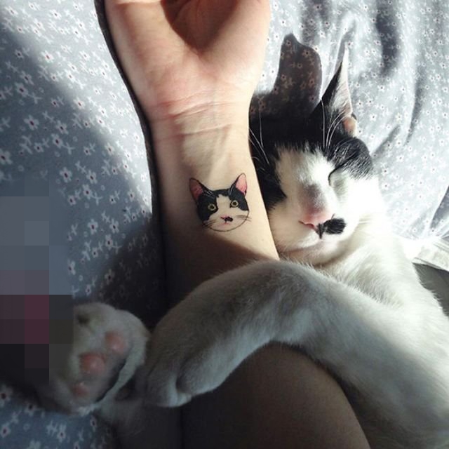 点击大图看下一张：女生个性黑白简约线条小动物猫咪纹身图案