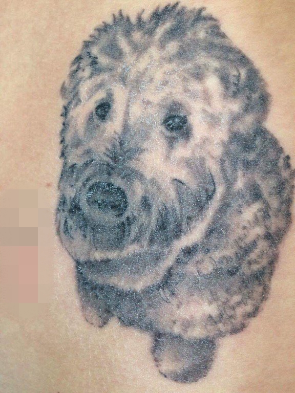 点击大图看下一张：手臂上黑白点刺技巧可爱动物小狗纹身图片