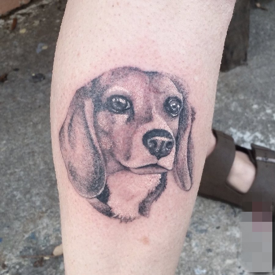 点击大图看下一张：小腿上黑白线条点刺技巧动物小狗纹身图片